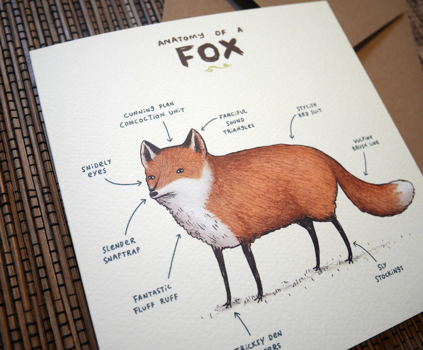 Anatomy Of A Fox Card
