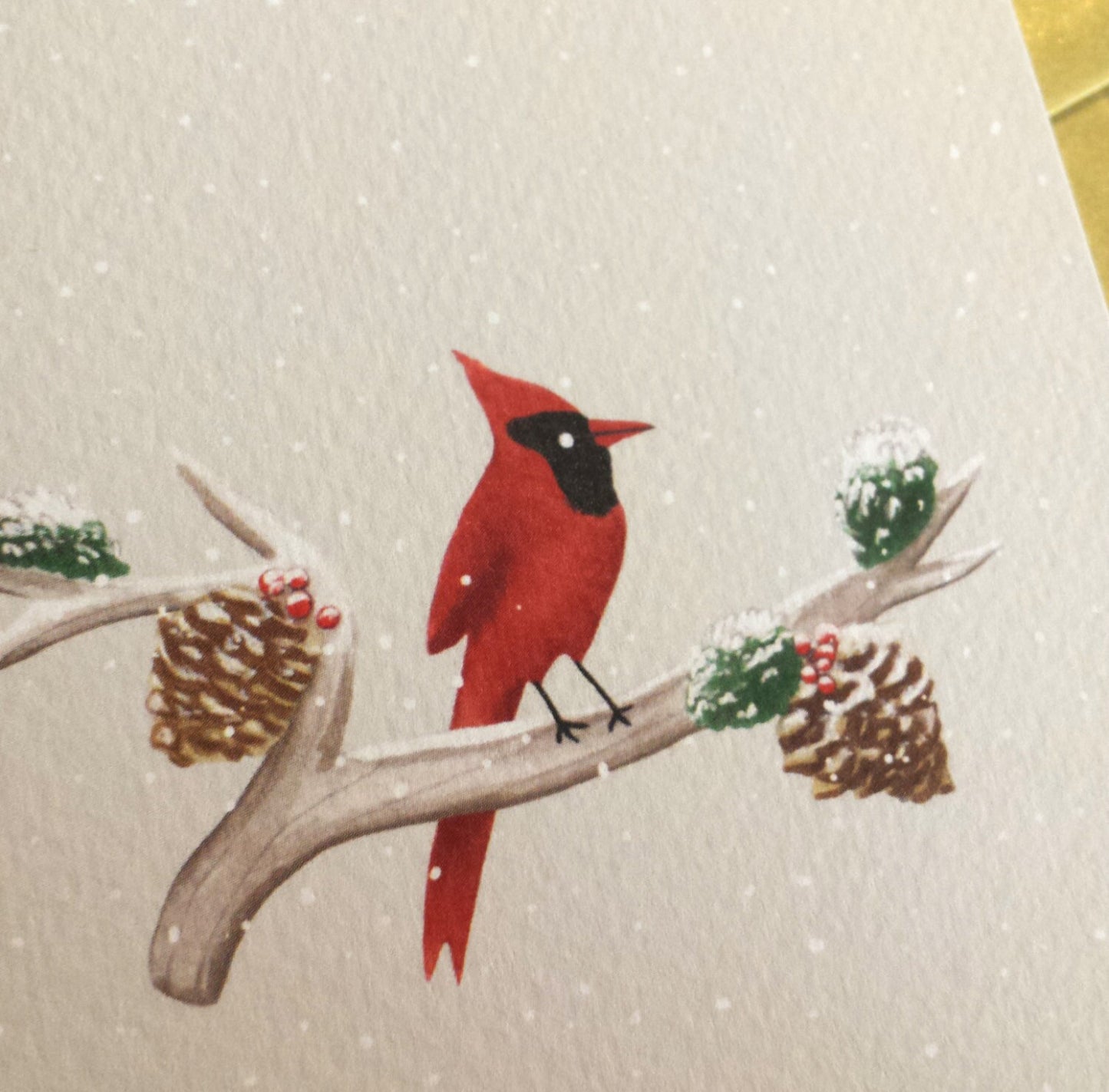 Cardinal on Branch Christmas Card