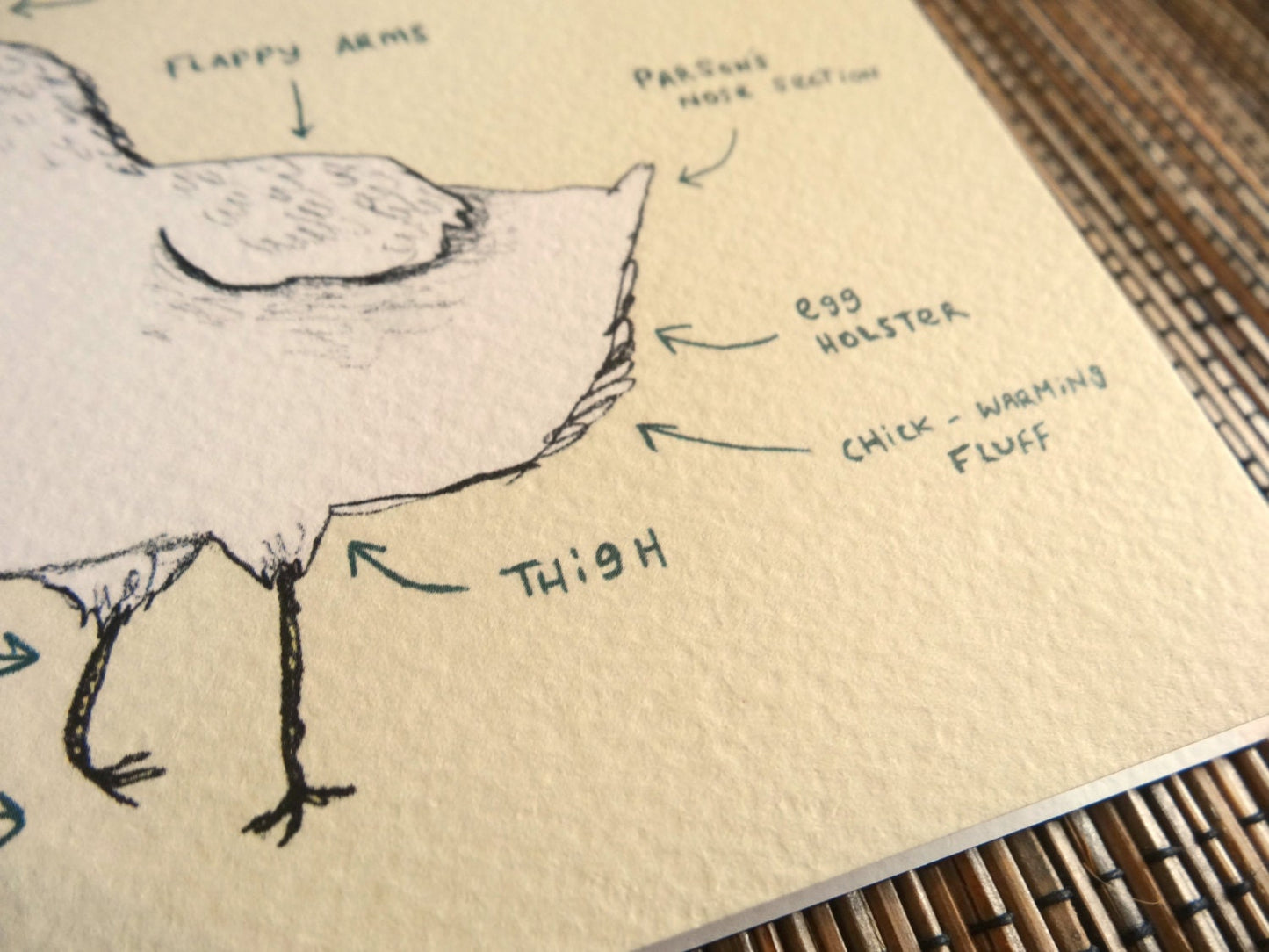 Anatomy Of A Chicken Card