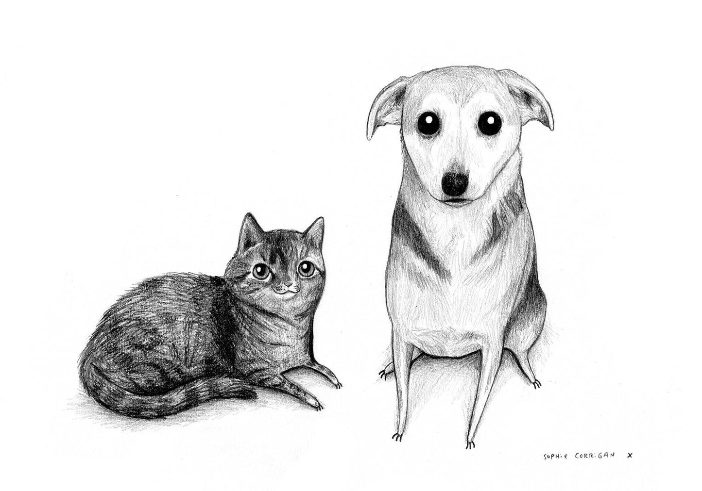 Pencil Pet Portrait - A5