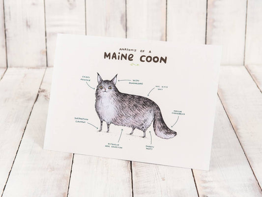 Anatomy Of A Maine Coon A4 Signed Print