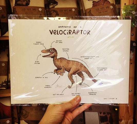 Anatomy Of A Velociraptor A4 Signed Print