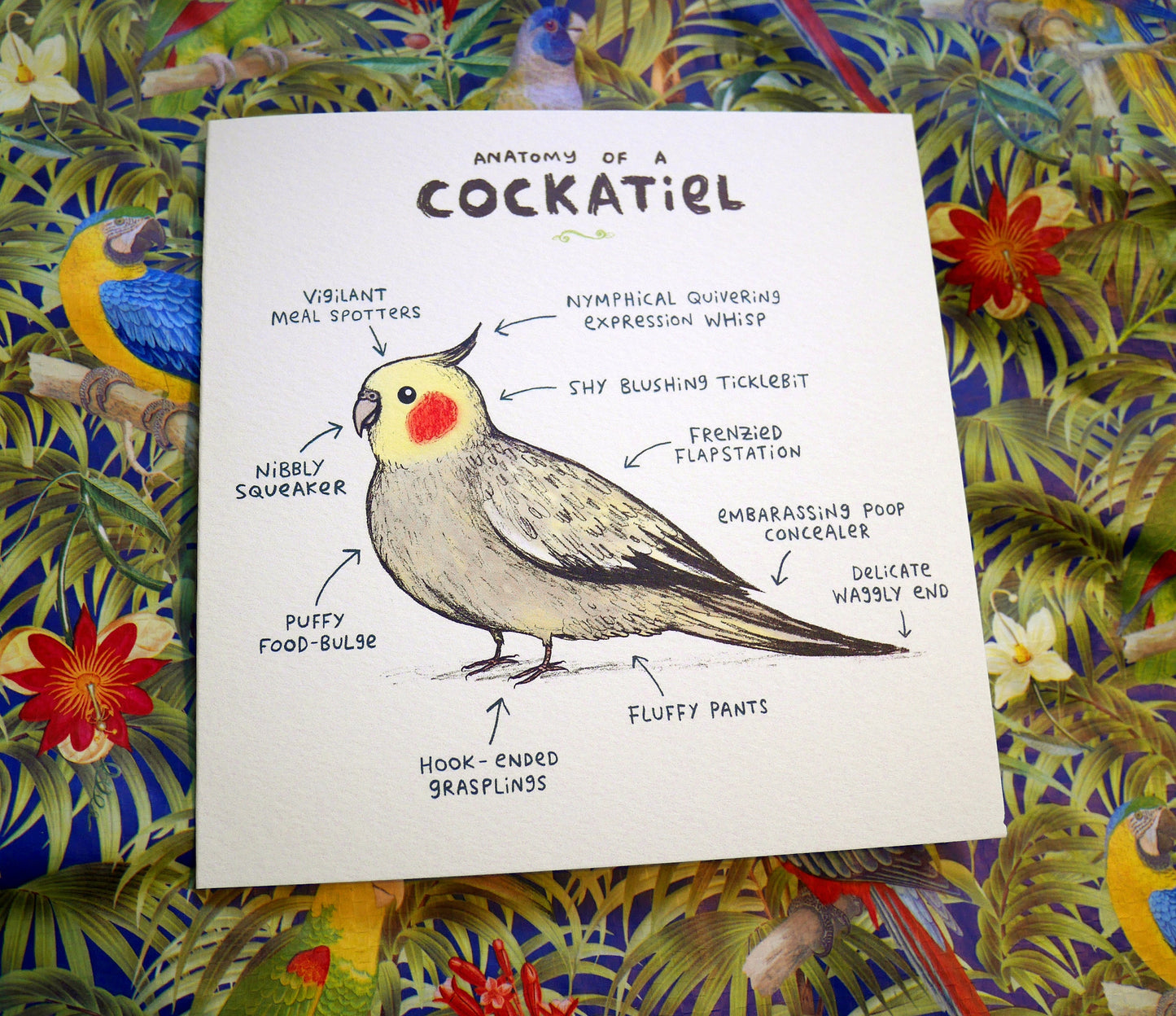 Anatomy Of A Cockatiel Card