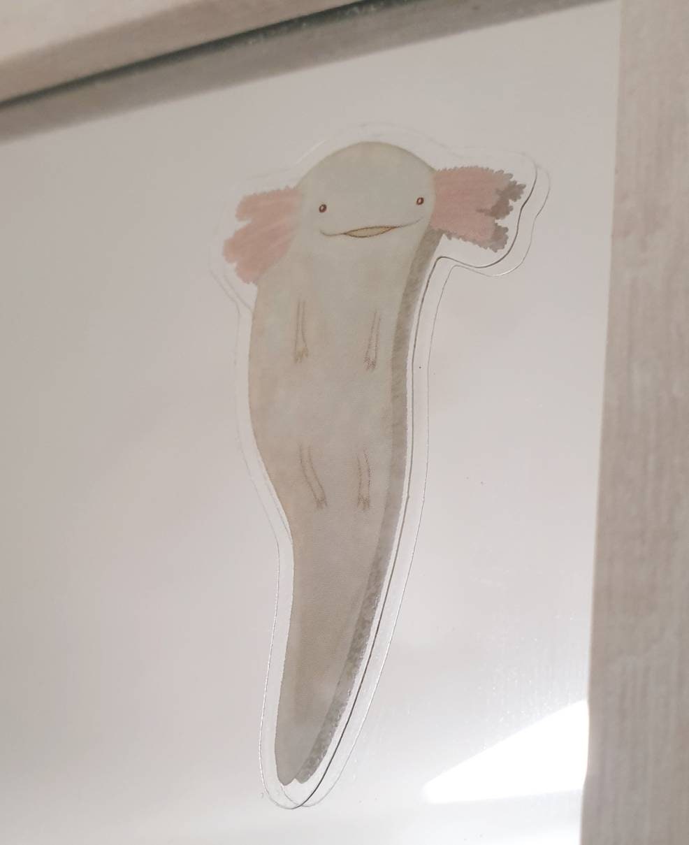 Floating Axolotl Transparent Background Vinyl Sticker