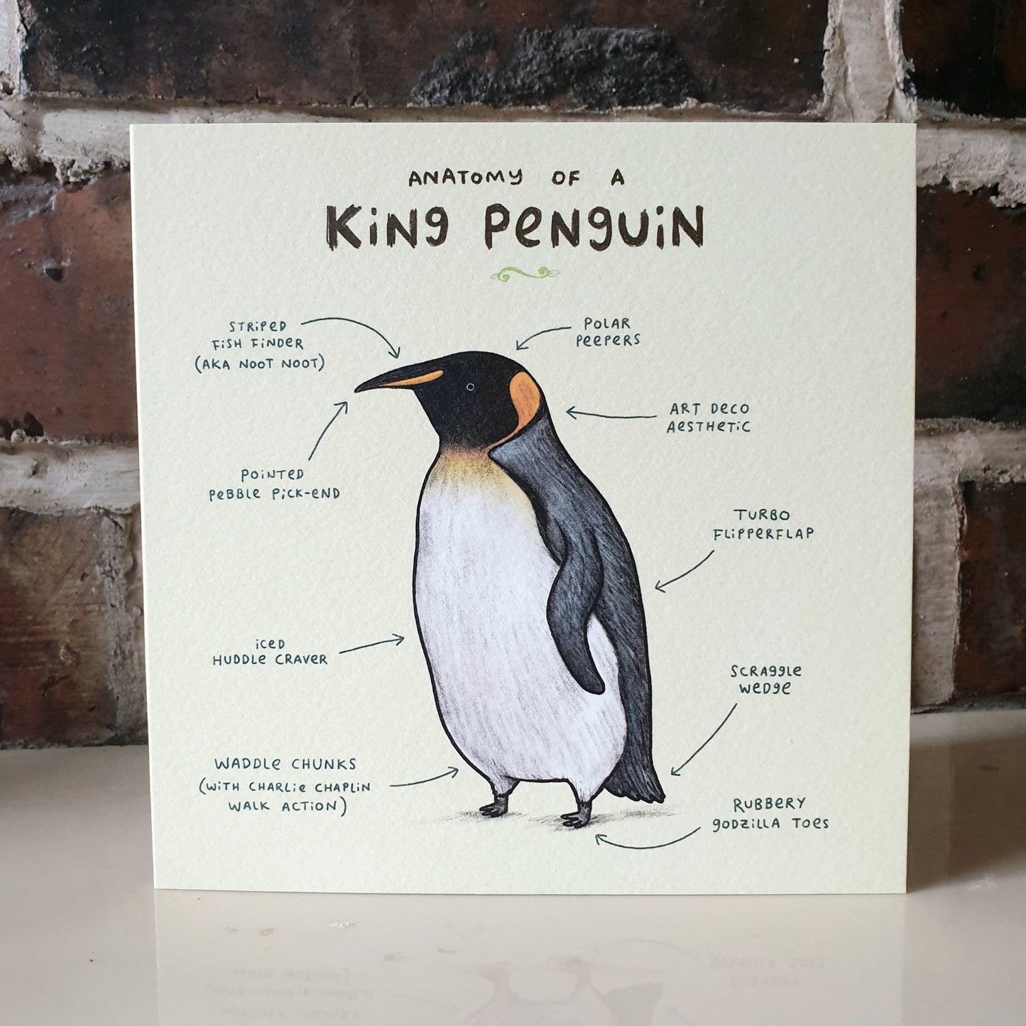 Anatomy of a Penguin Card: Scientific Animal Illustration