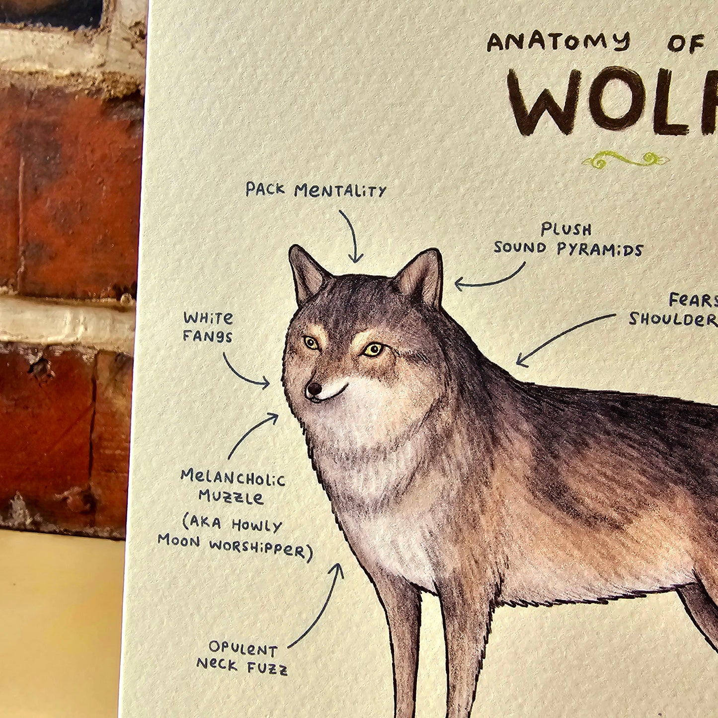Anatomy of a Wolf Greeting Card: Funny Anatomical Illustration