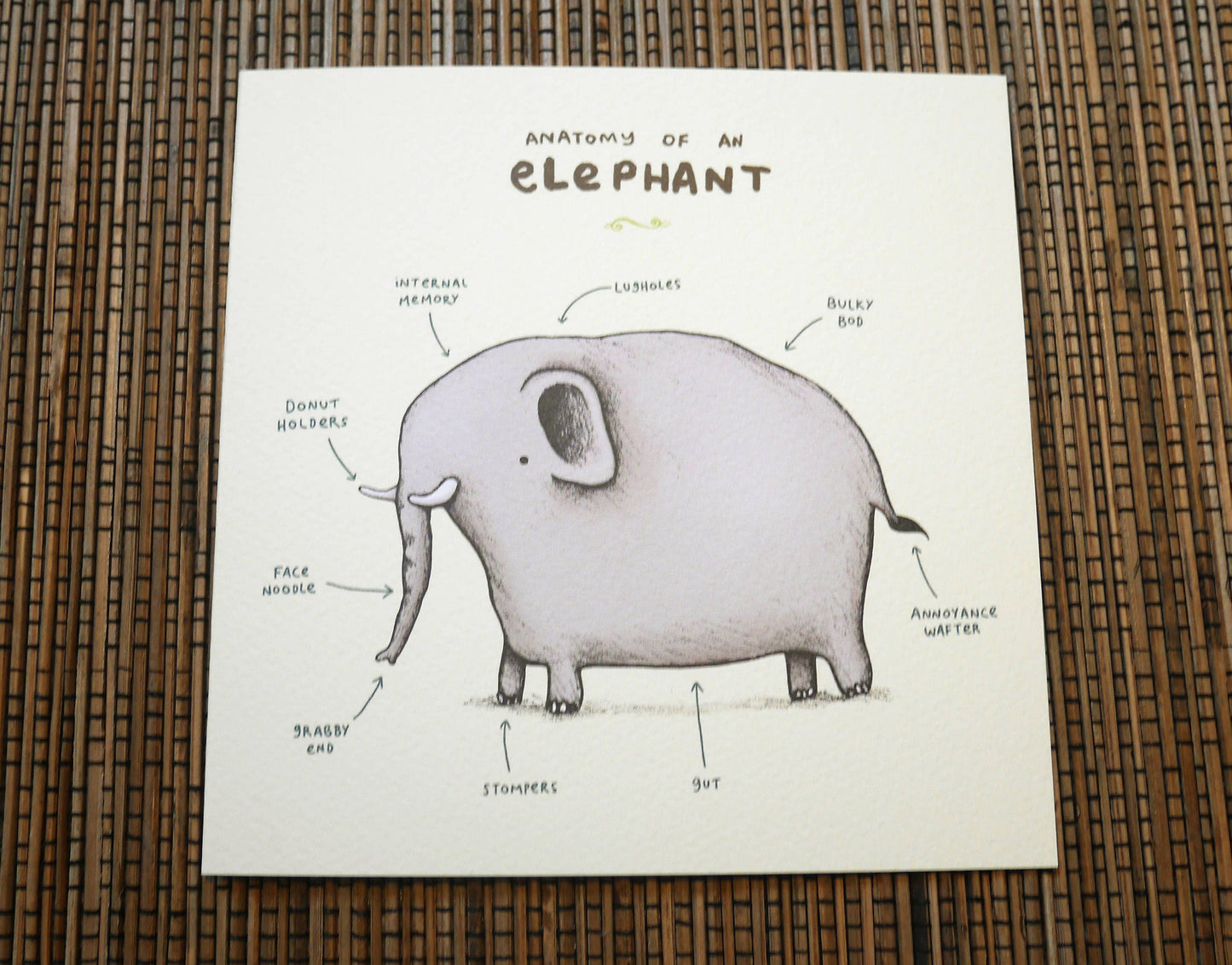 Anatomy of an Elephant Card