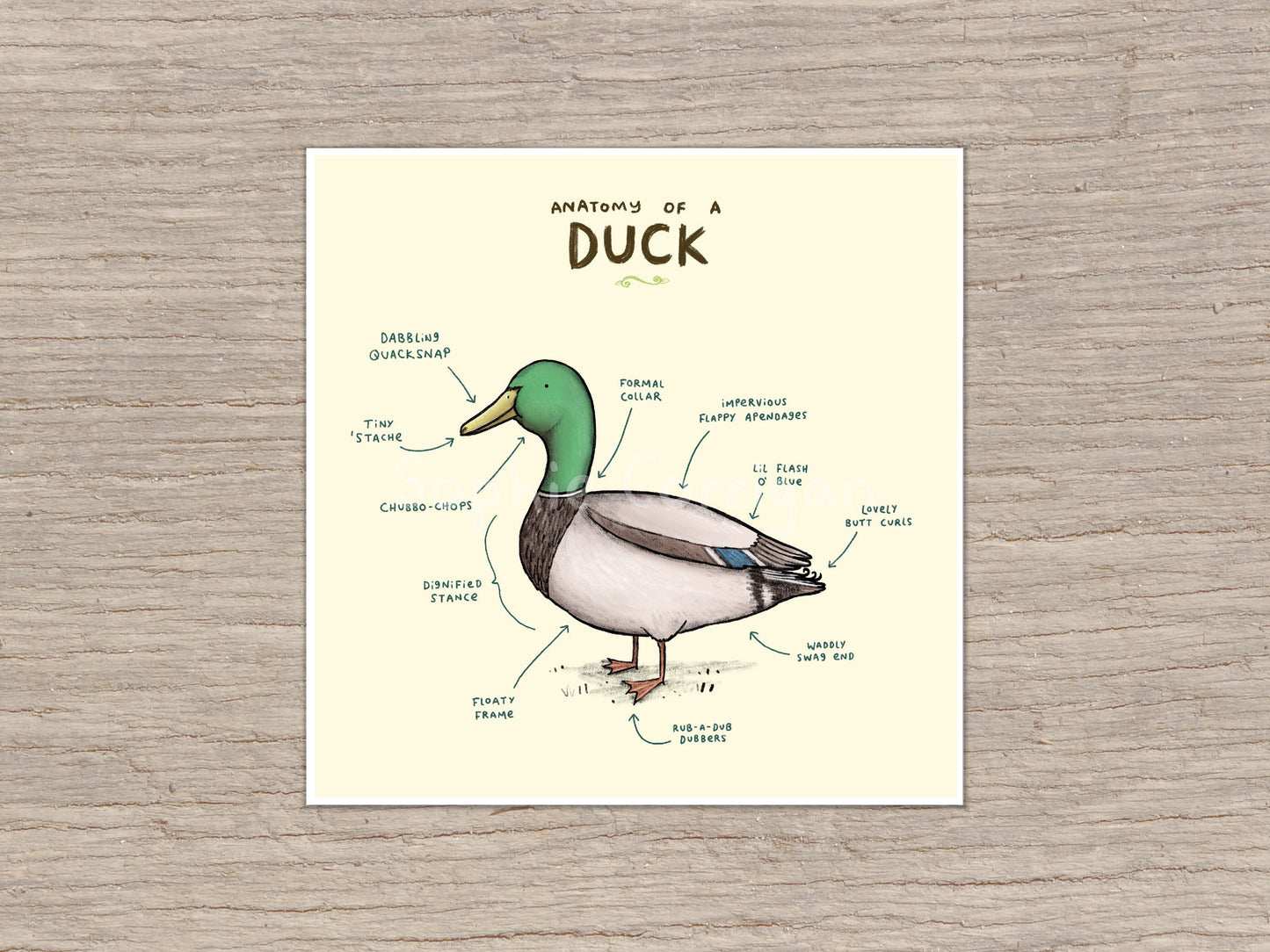 Anatomy of a Duck Signed Art Print