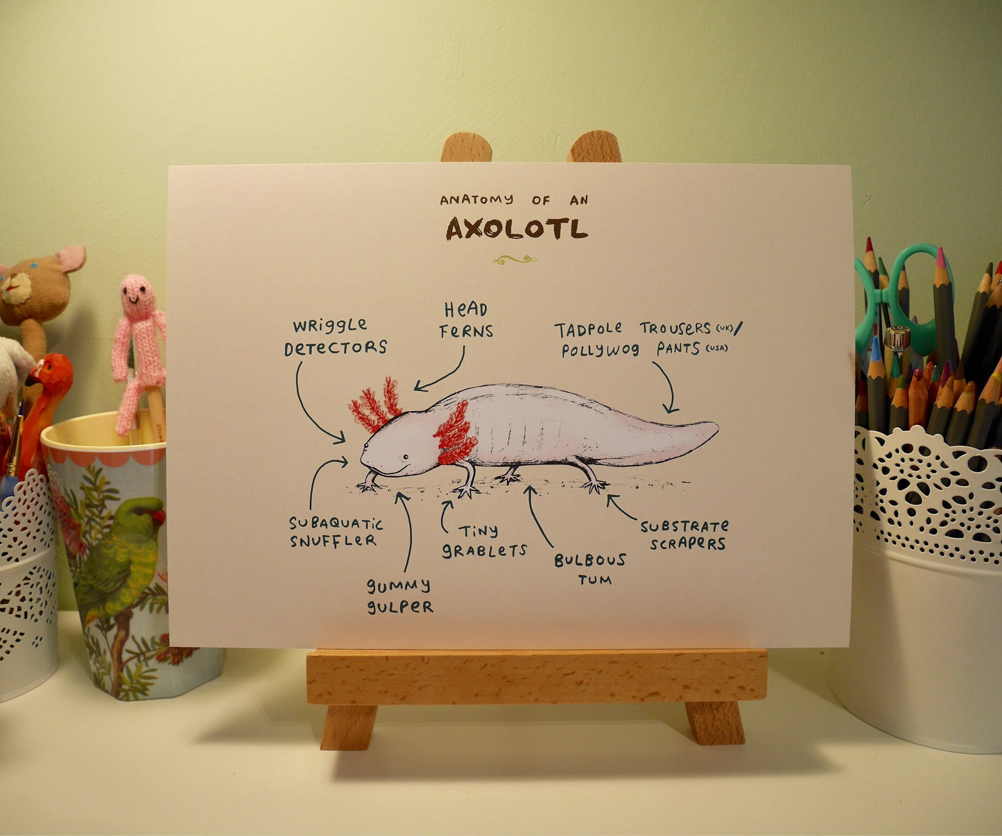 Anatomy Of An Axolotl A4 Signed Print