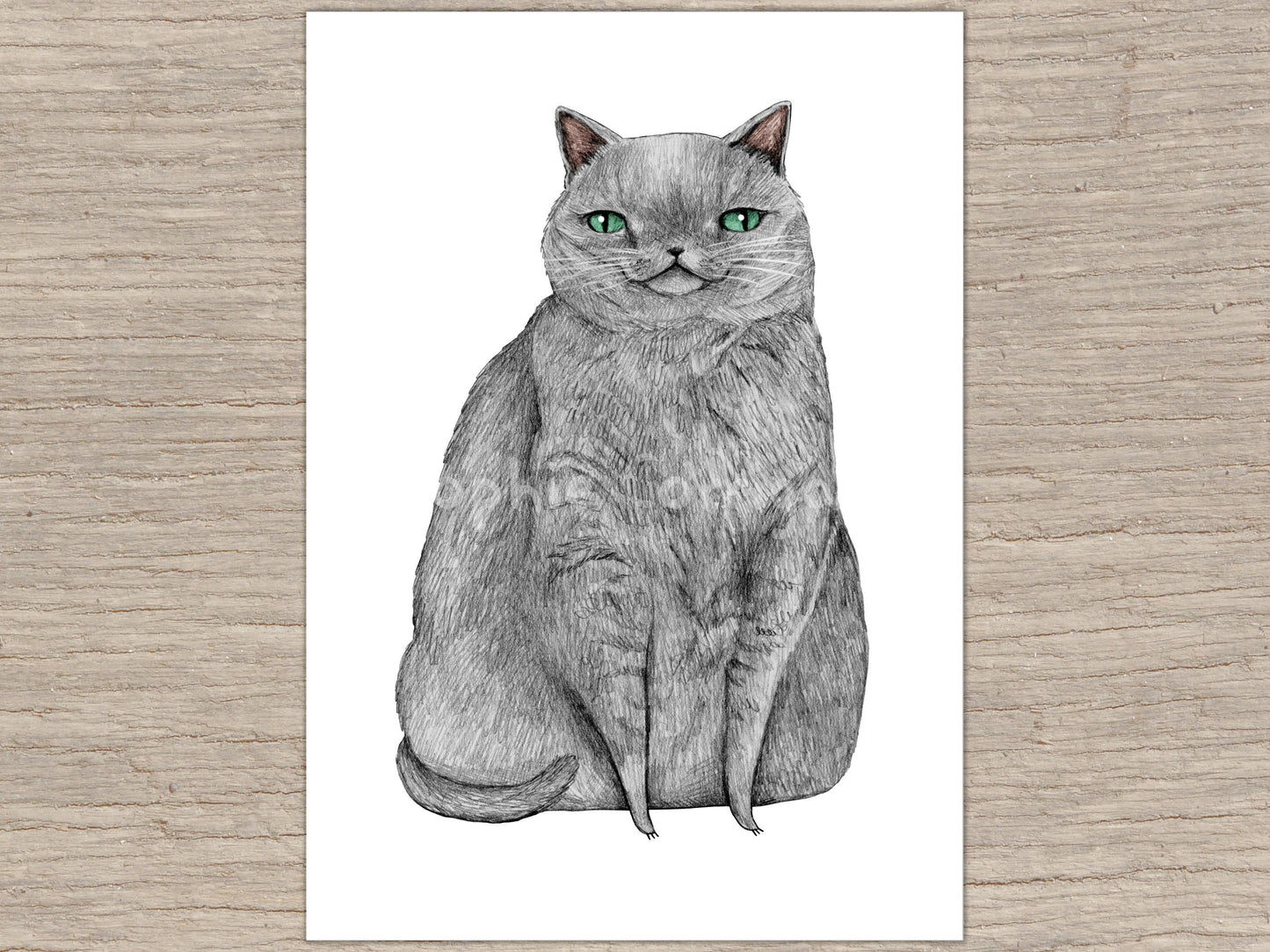 Signed Grey Cat Art Print: Quirky Pet Portrait Illustration