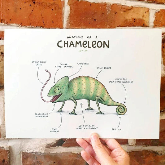 Anatomy of a Chameleon A4 Signed Print