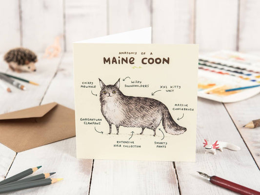 Anatomy Of A Maine Coon Card