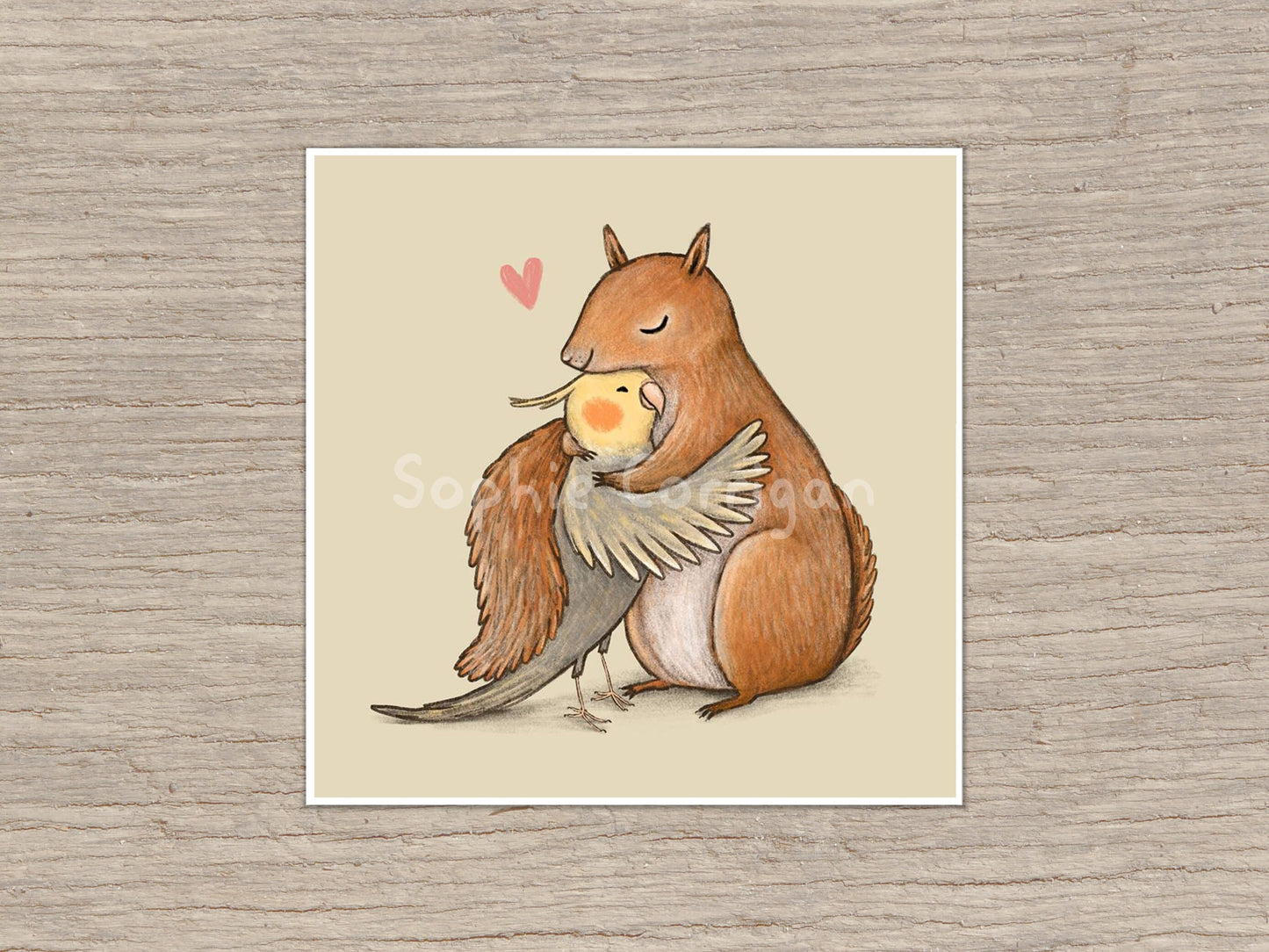 Cockatiel & Squirrel Signed Art Print