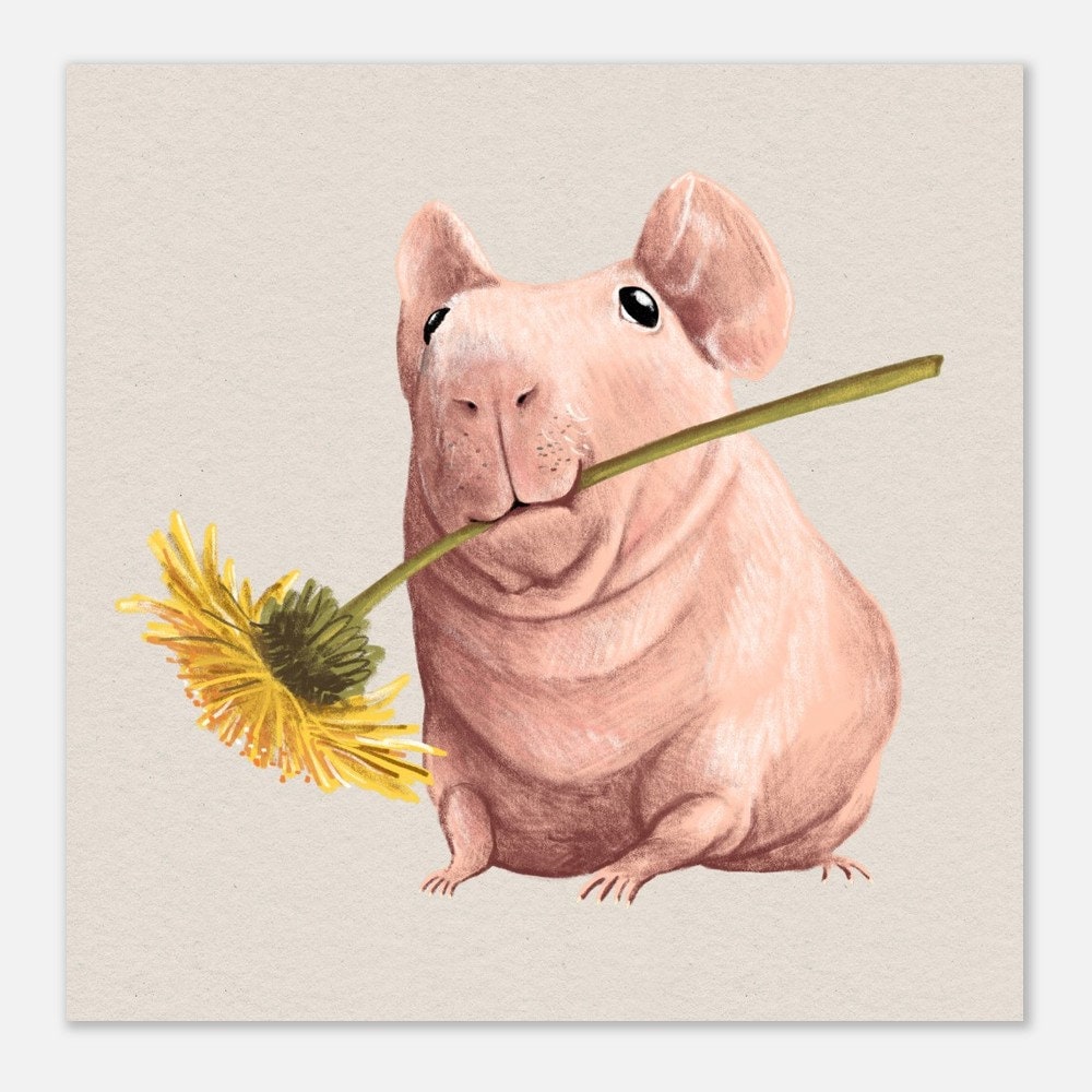 Naked Guinea Skinny Pig and Dandelion Premium Matte Paper Poster