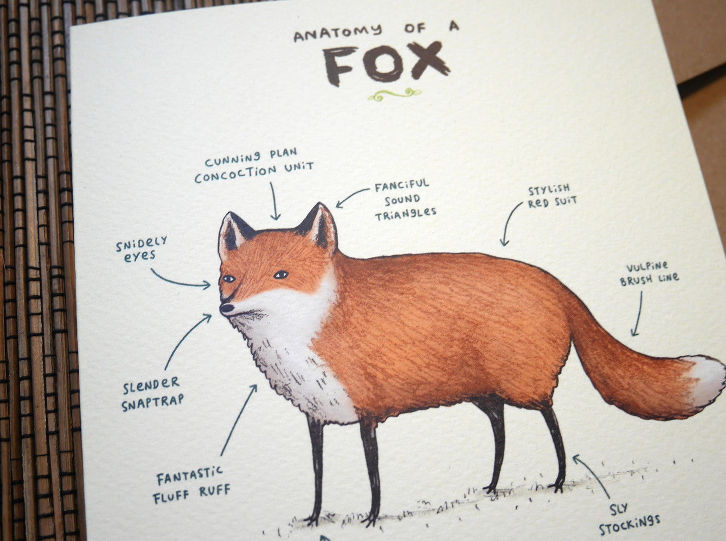 Anatomy Of A Fox Card