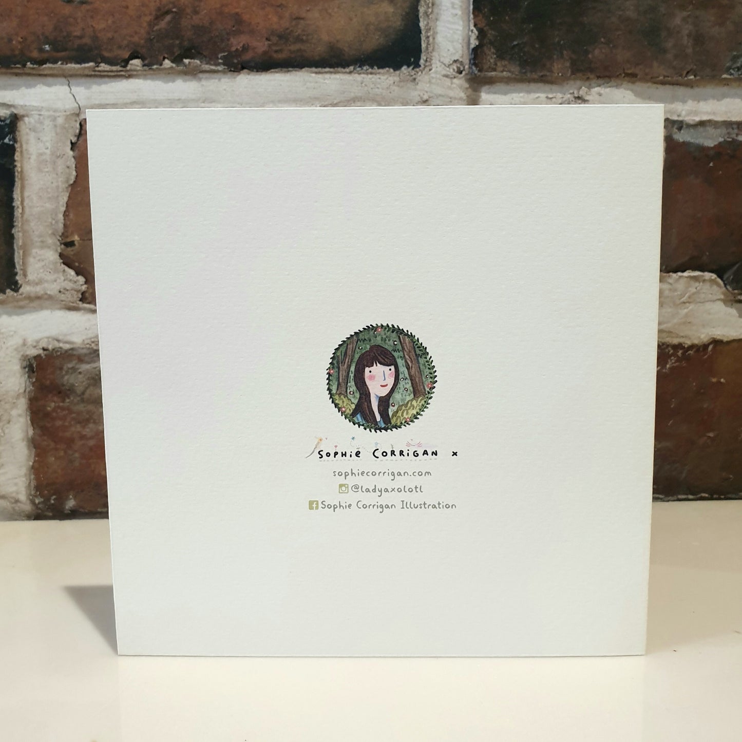 Anatomy of a Grizzly Bear Card