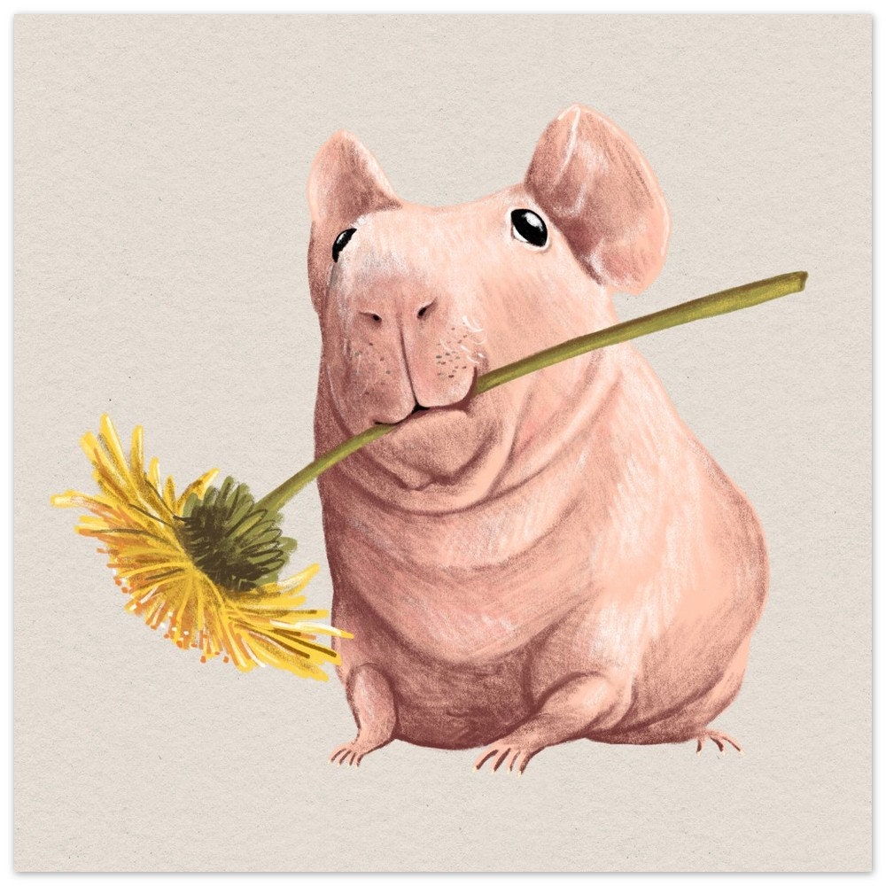 Naked Guinea Skinny Pig and Dandelion Premium Matte Paper Poster