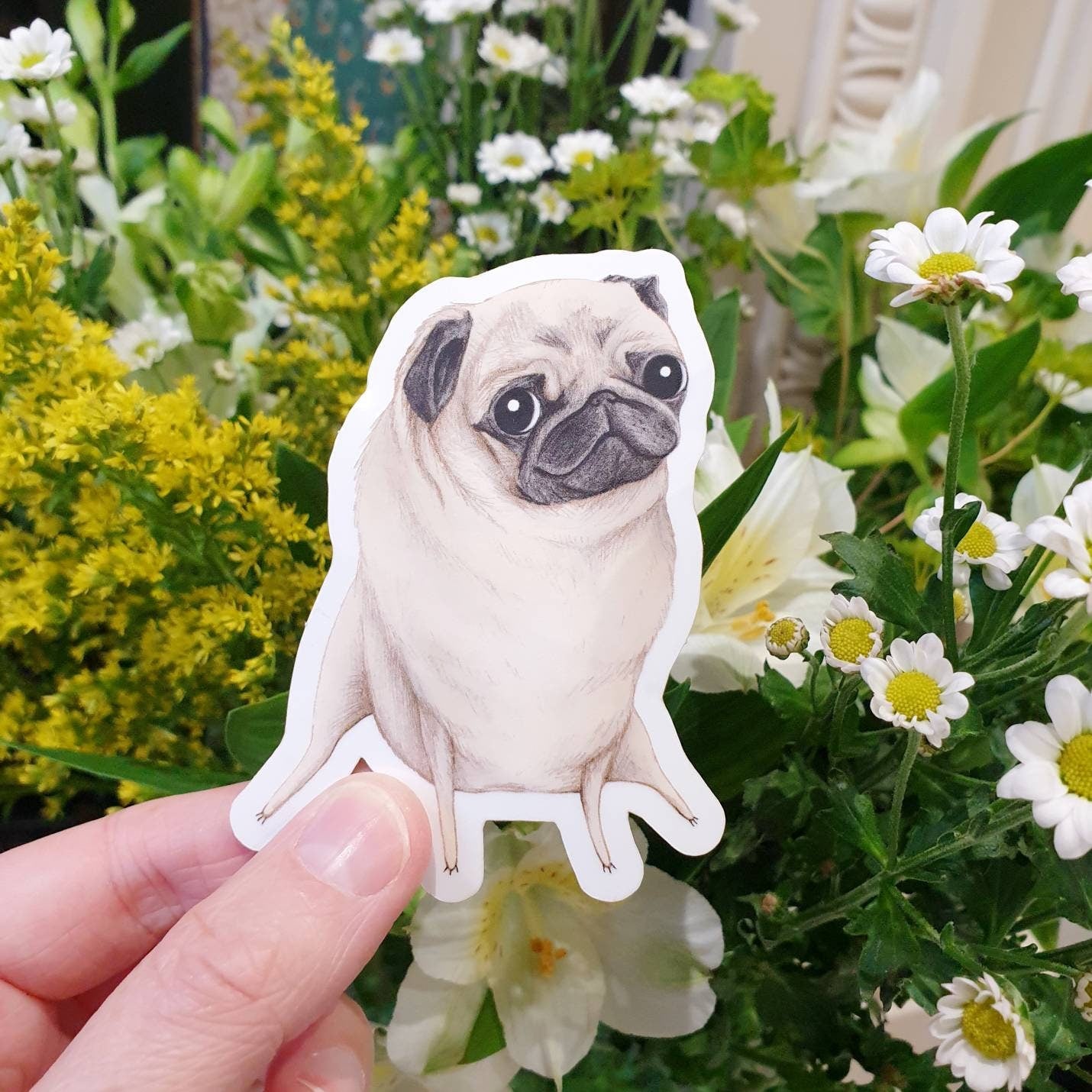 Sweet Fawn Pug Portrait Sticker