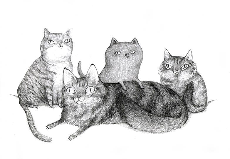 Pencil Pet Portrait - A4