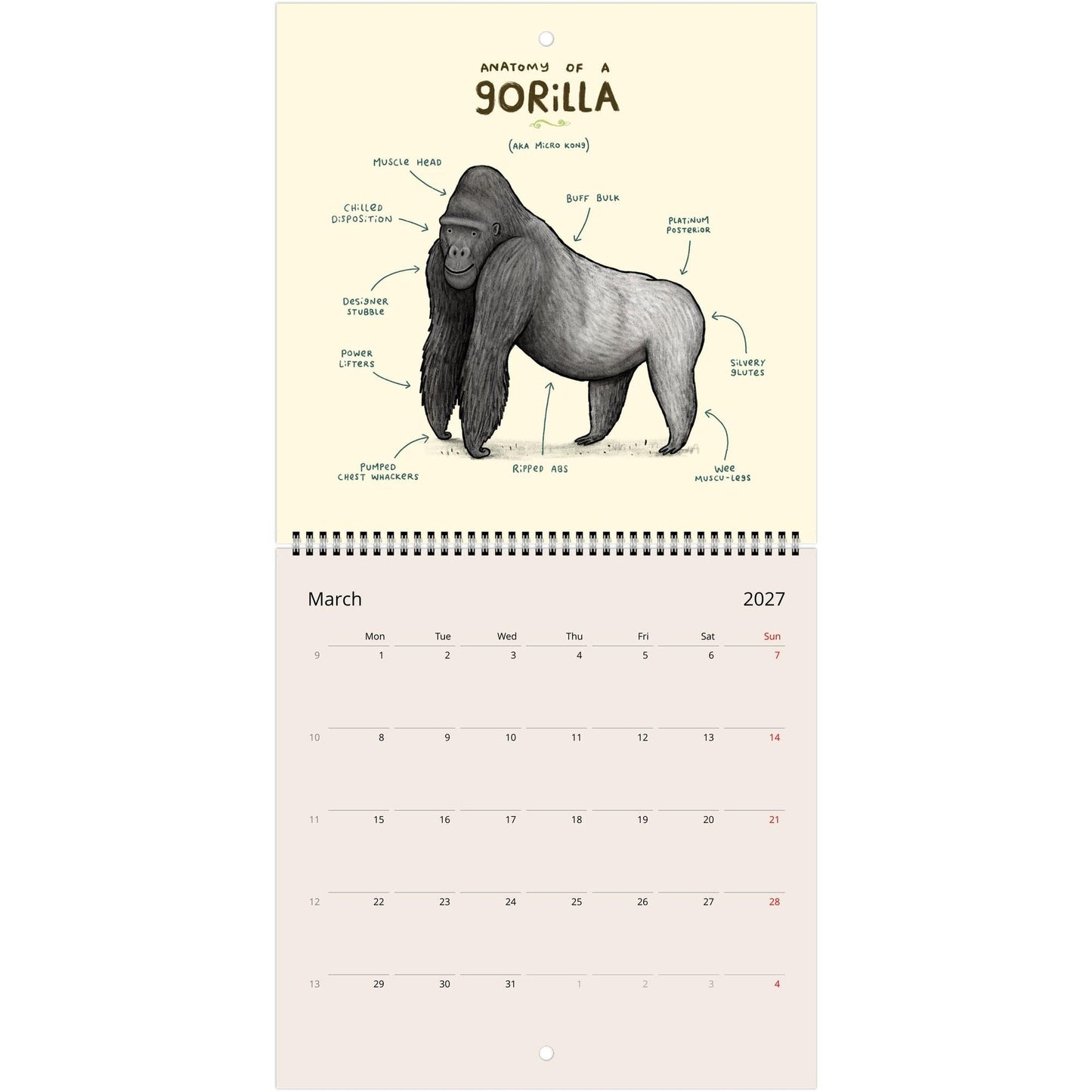Animal Anatomy 2026 July - 2027 June Cute Creatures 12 Month Wall Calendar