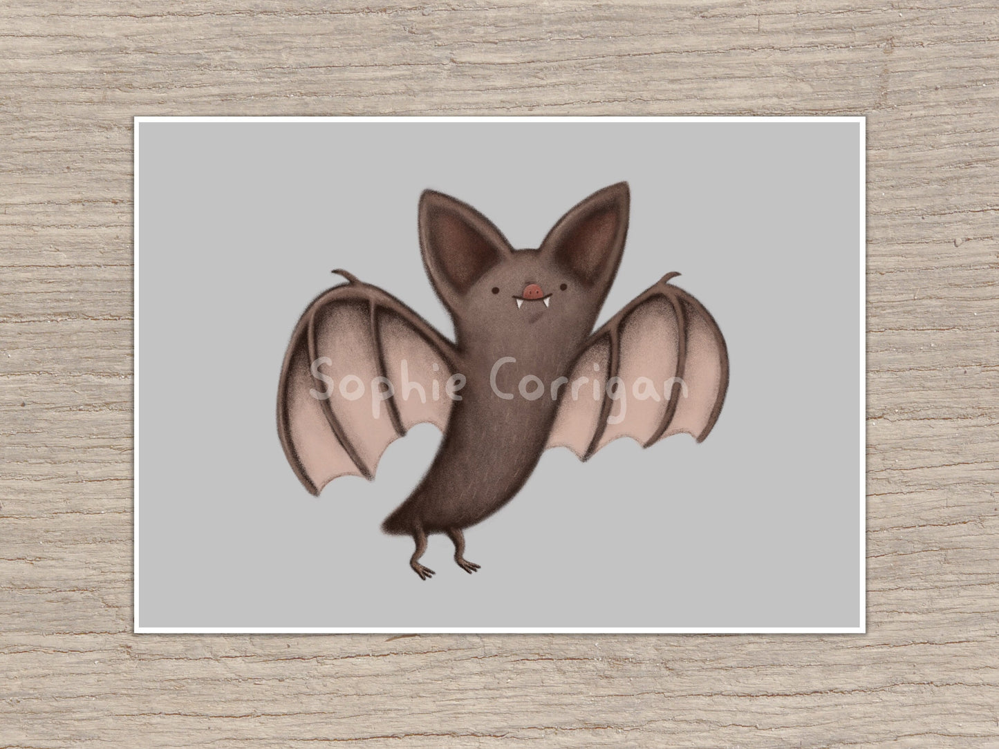 Little Bat Signed Art Print