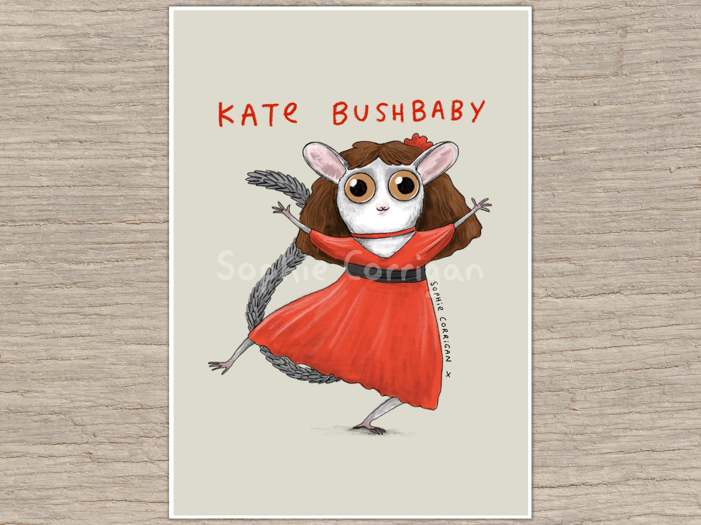 Kate Bushbaby Art Print: Signed Galago Illustration by Sophie Corrigan