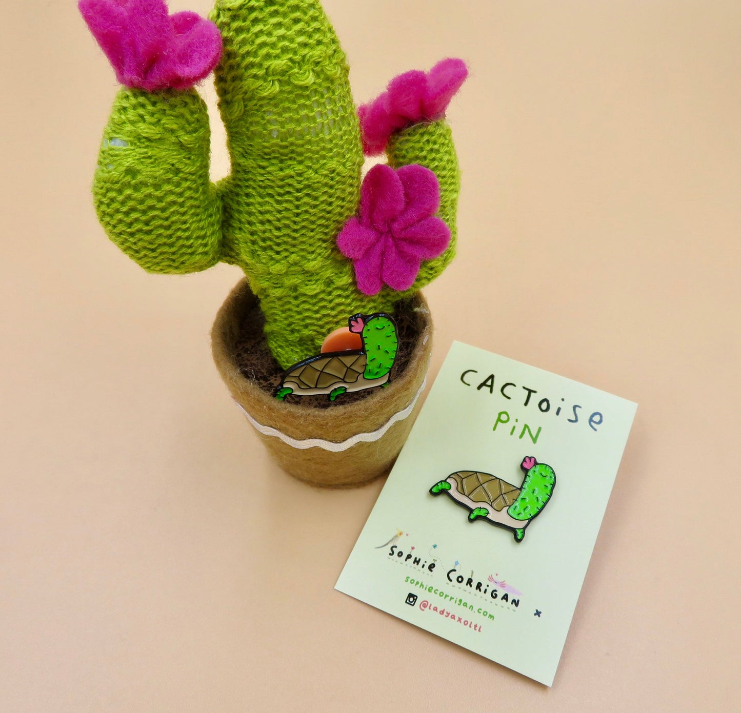 Cactoise Cactus Tortoise Pin Badge