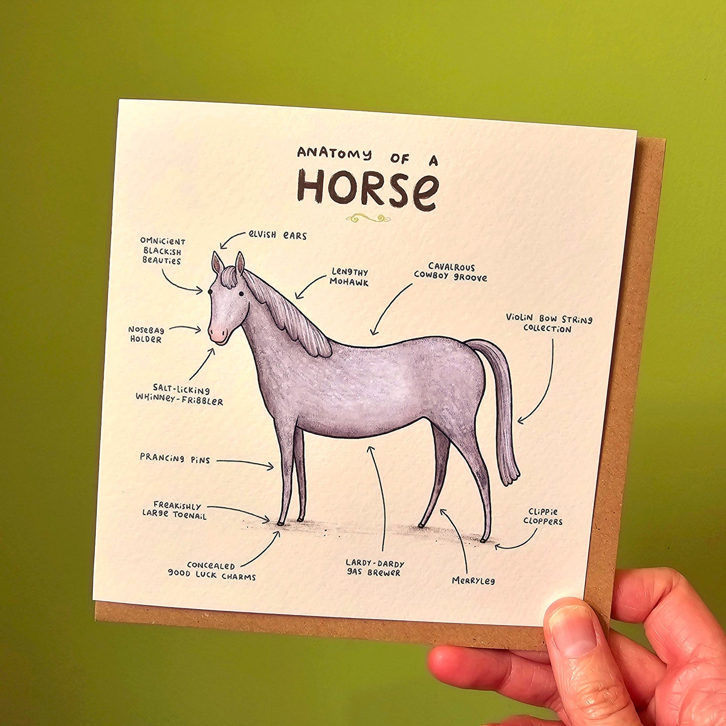 Anatomy of a Horse Card