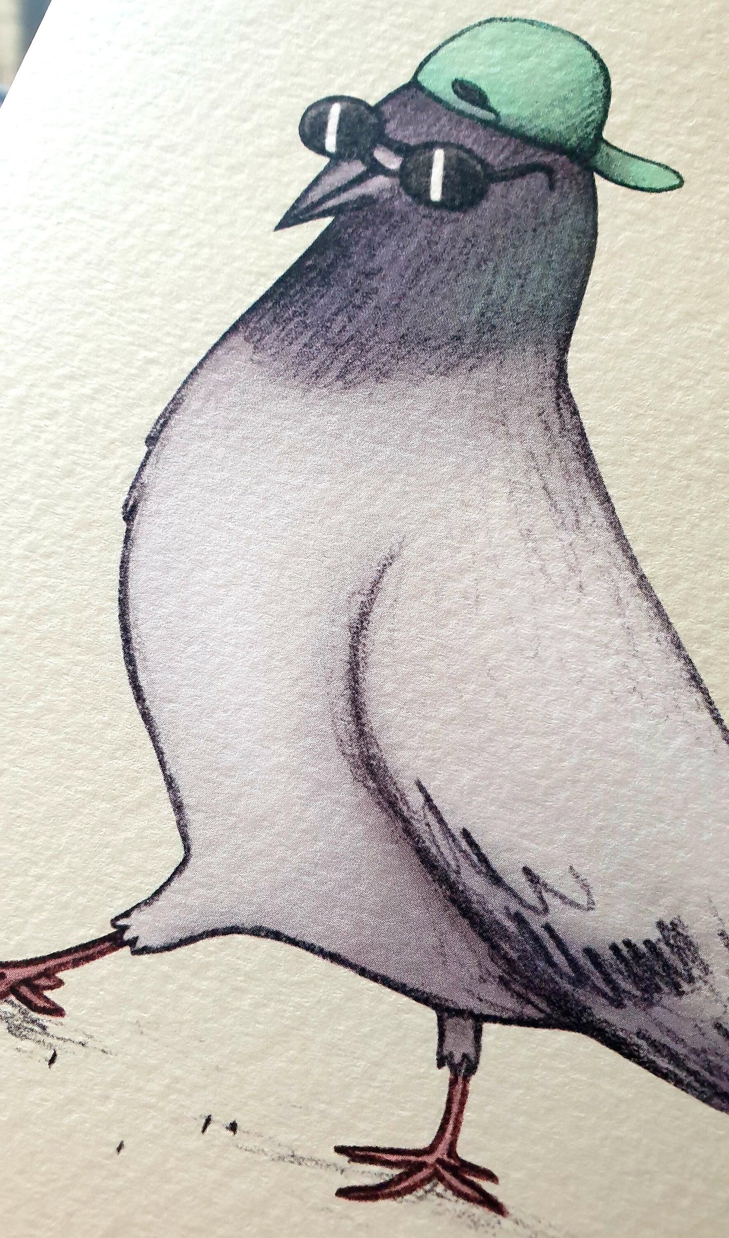 Large Super Coo Pigeon Card A5