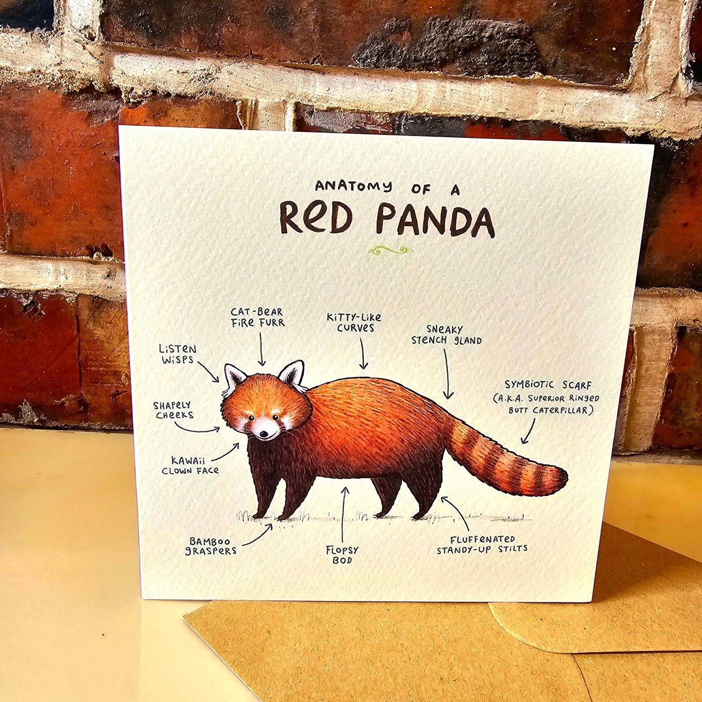 Anatomy Of A Red Panda Card