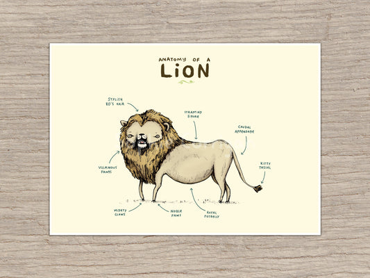 Anatomy of a Lion Signed Art Print