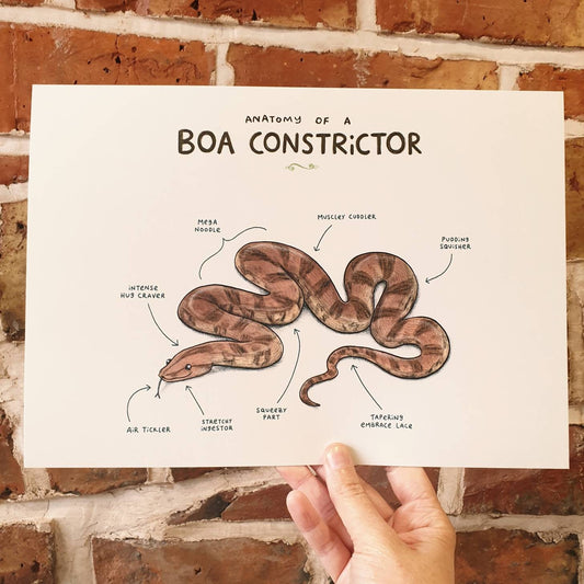 Anatomy Of A Boa Constrictor Snake A4 Signed Print