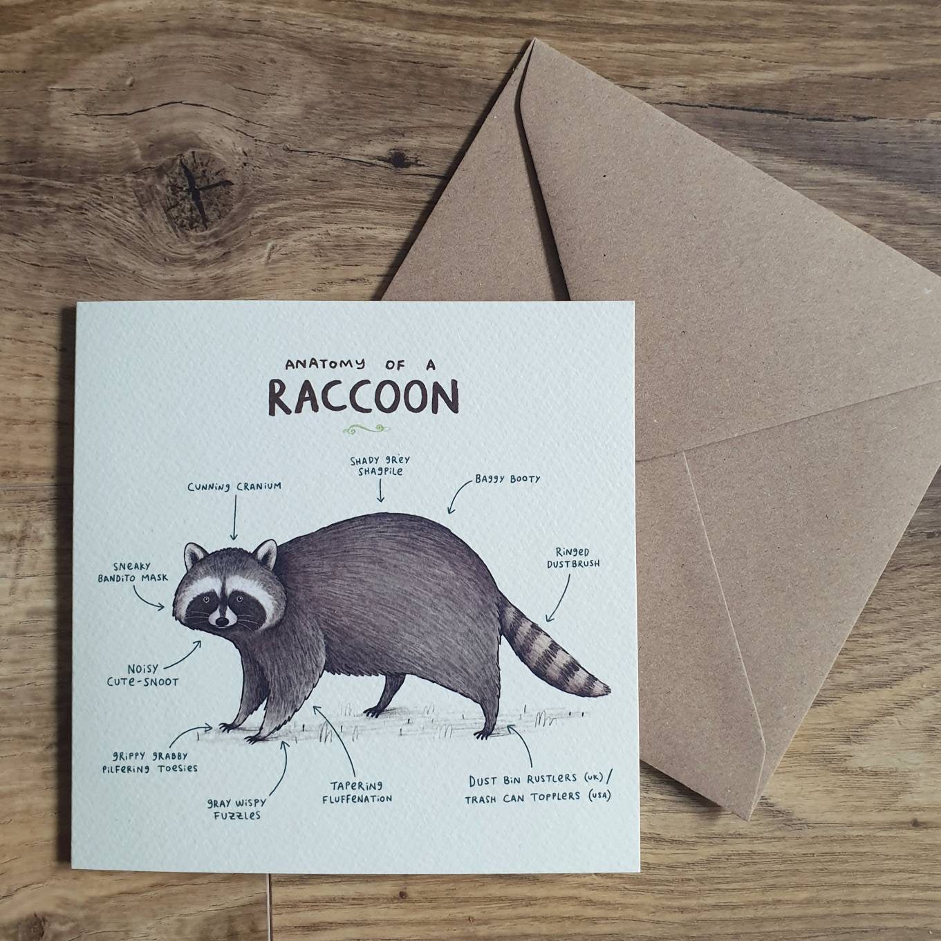 Anatomy Of A Raccoon Card