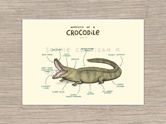 Anatomy of A Crocodile Signed Fine Art Print