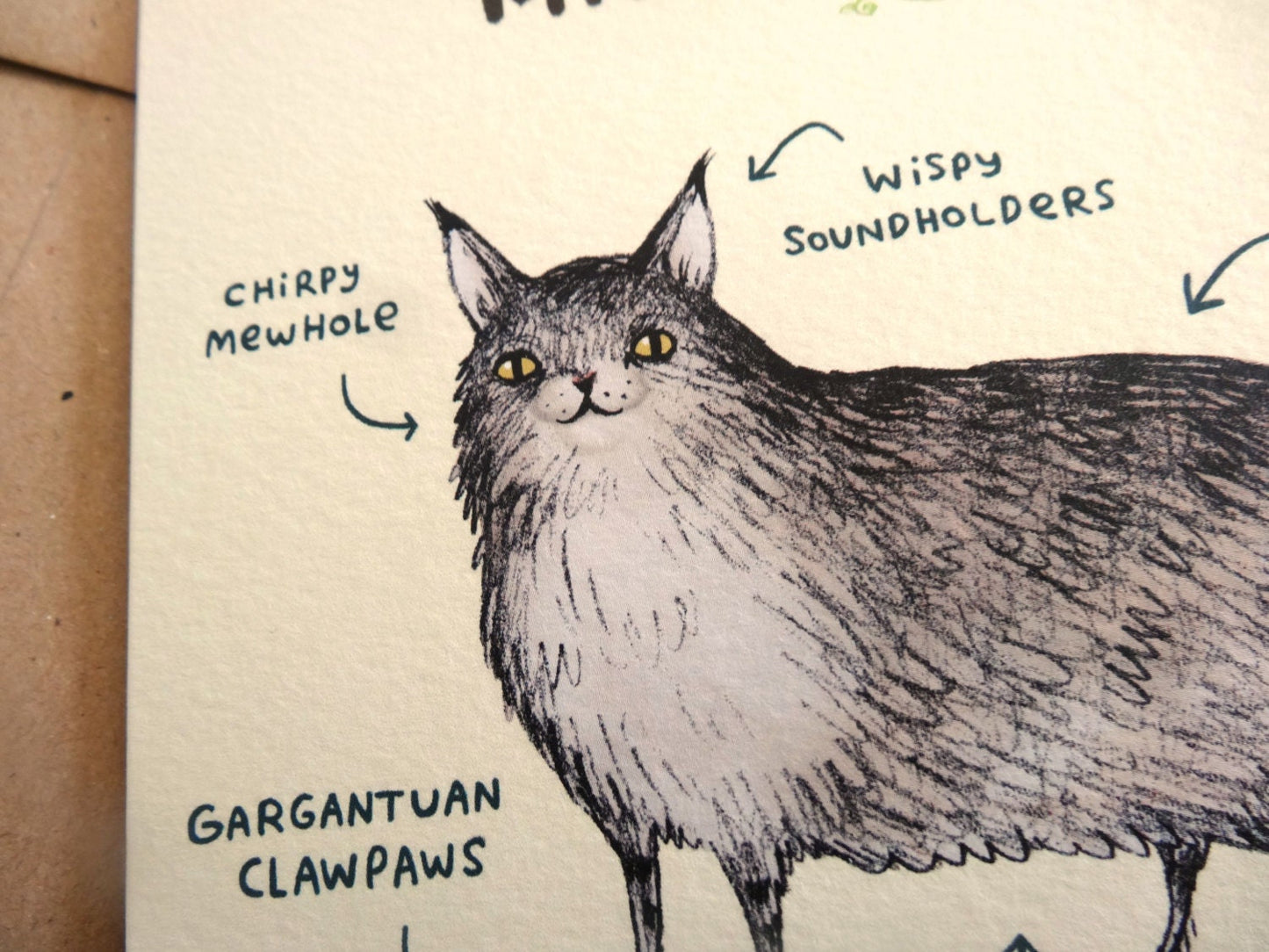 Anatomy Of A Maine Coon Card