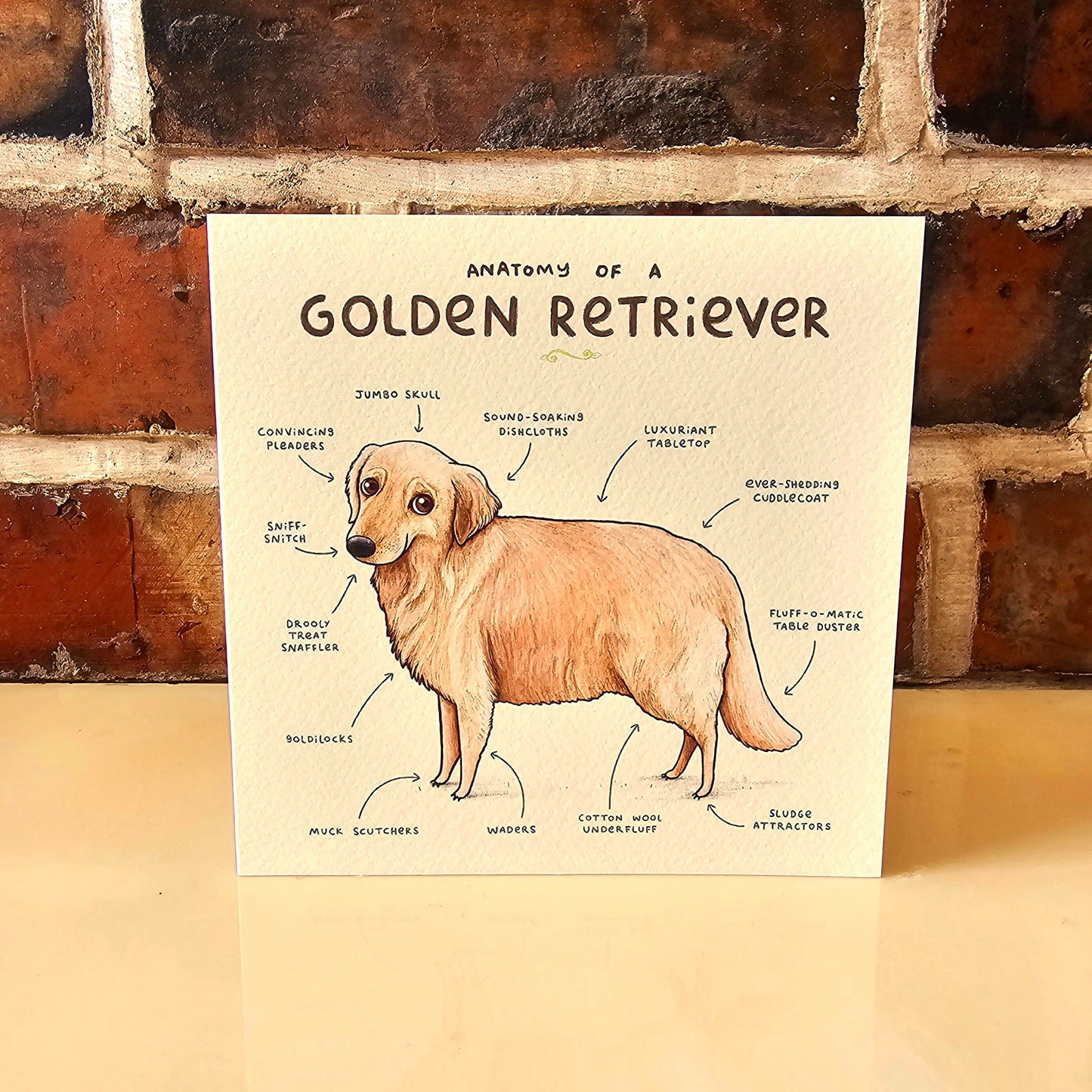 Anatomy of a Golden Retriever Greeting Card: Funny Dog Illustration