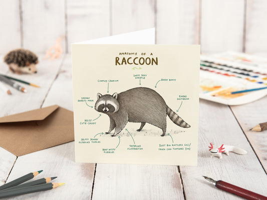 Anatomy Of A Raccoon Card