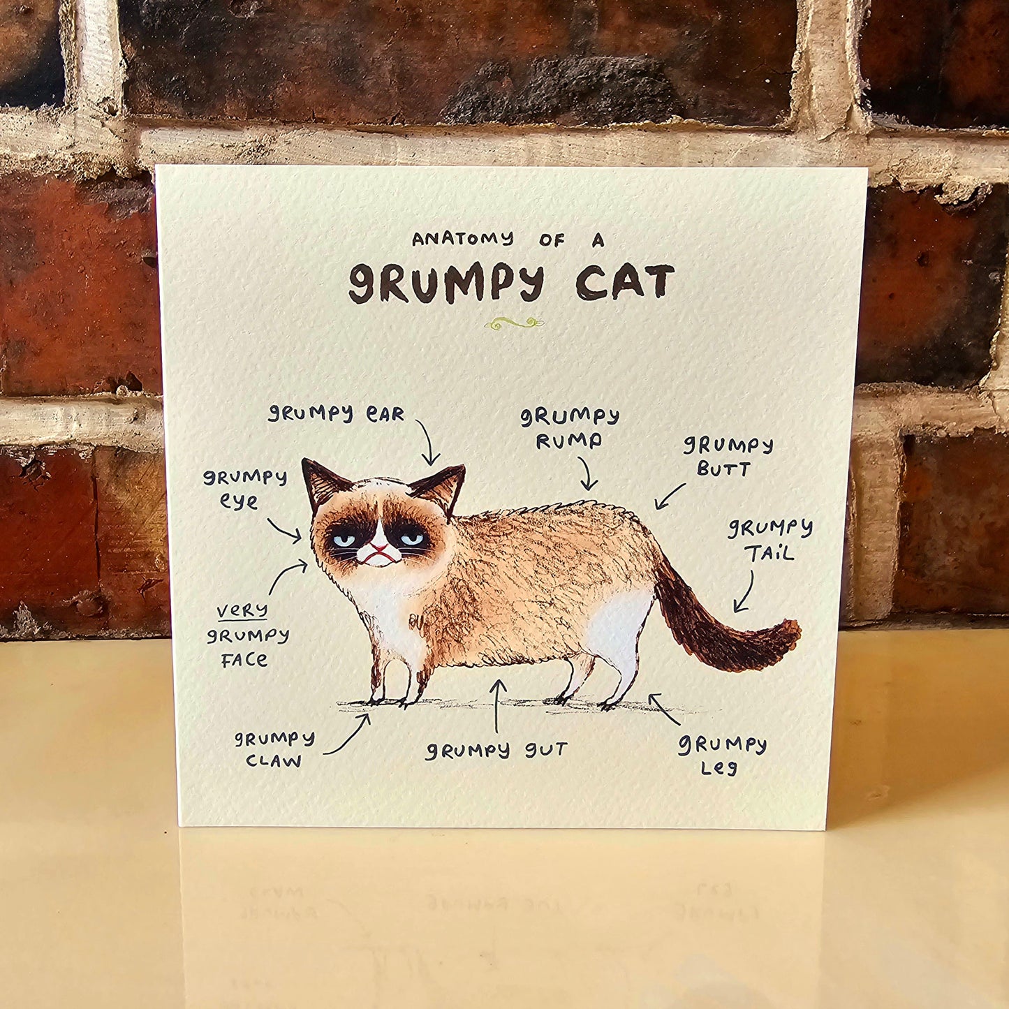 Anatomy Of A Grumpy Looking Cat Card