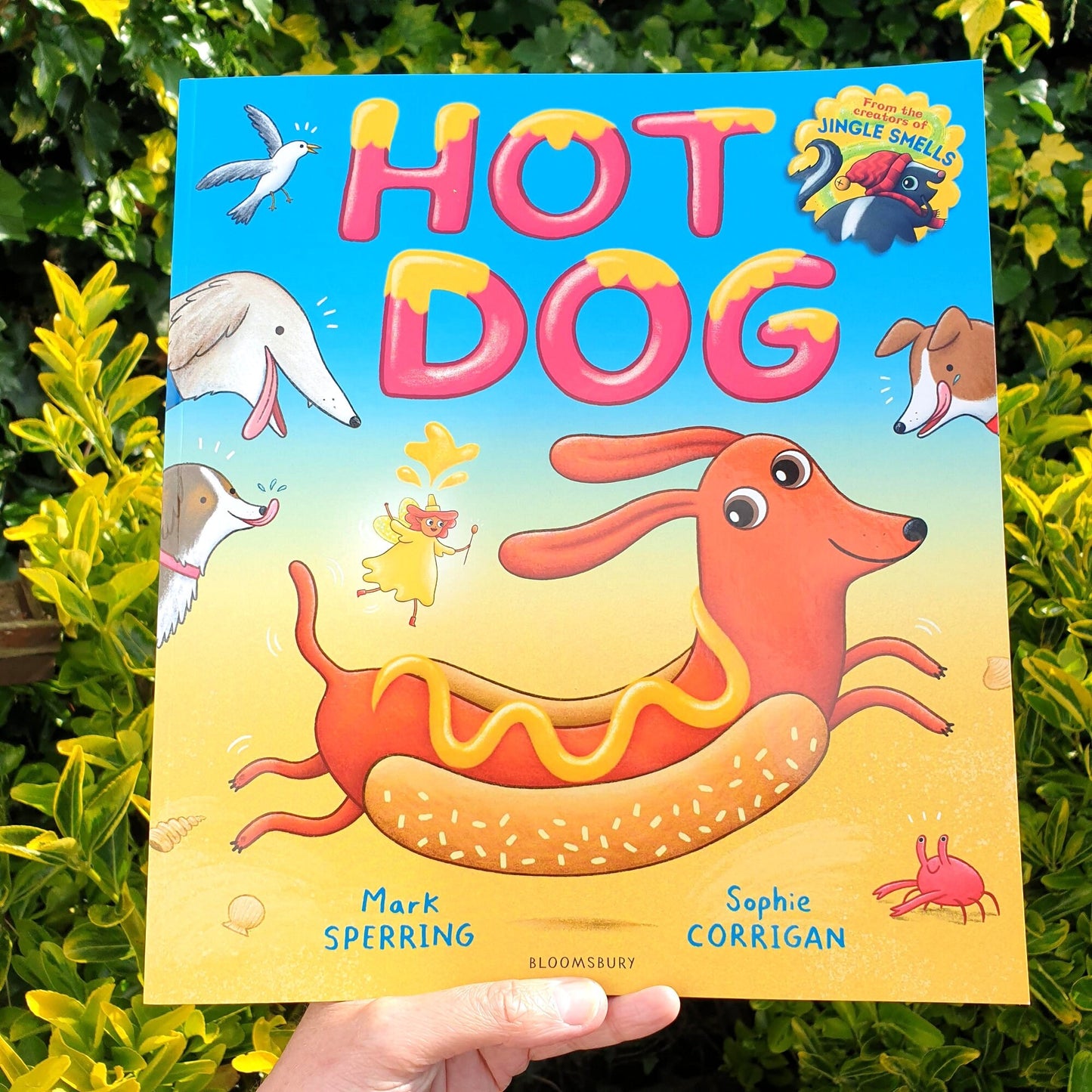 Hot Dog Signed Children's Illustrated Dachshund Sausage Dog Picture Book