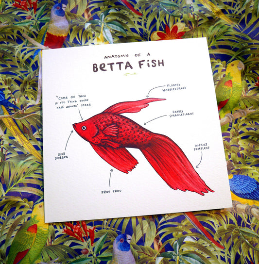 Anatomy of a Betta Fish Card