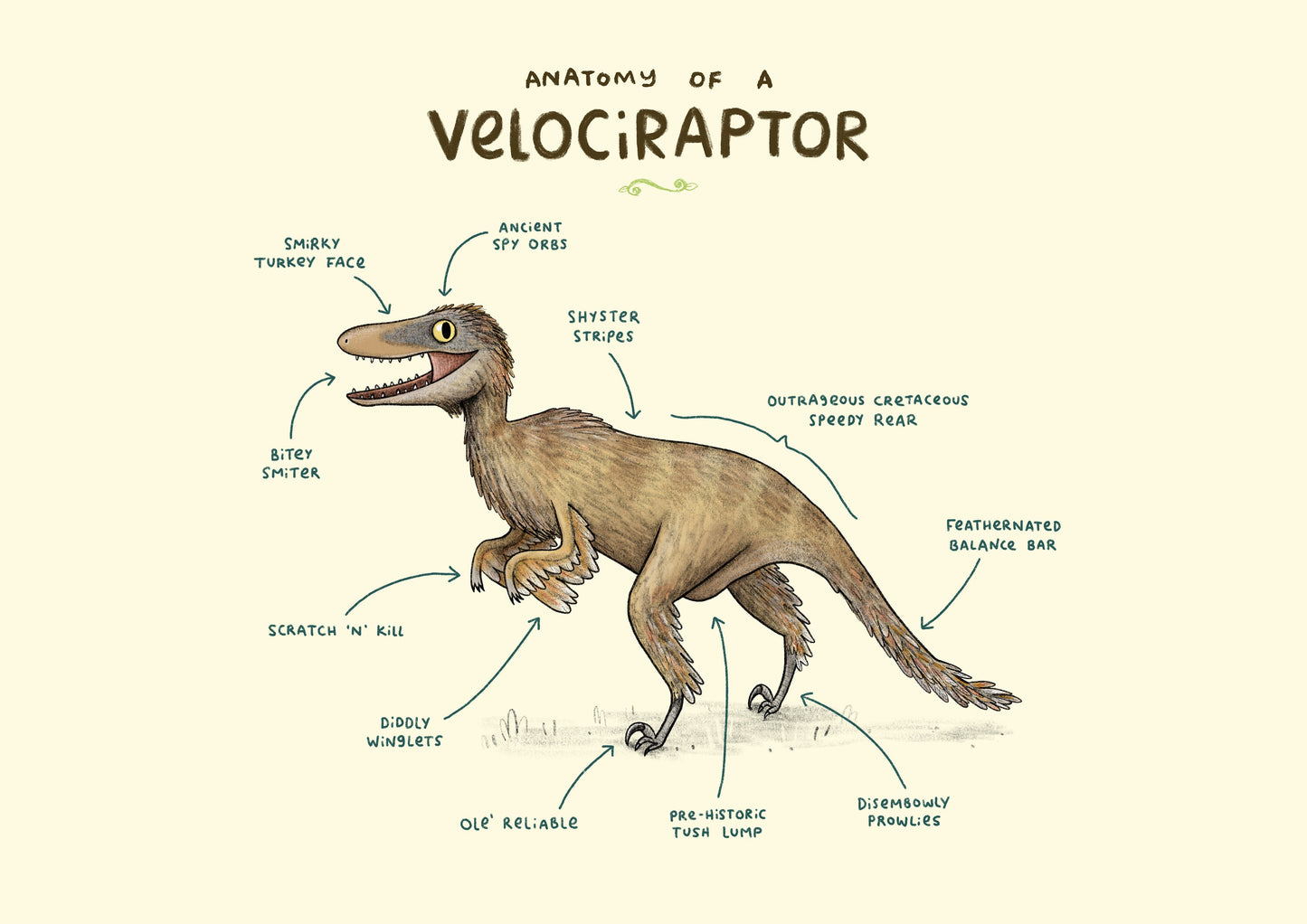 Anatomy Of A Velociraptor A4 Signed Print