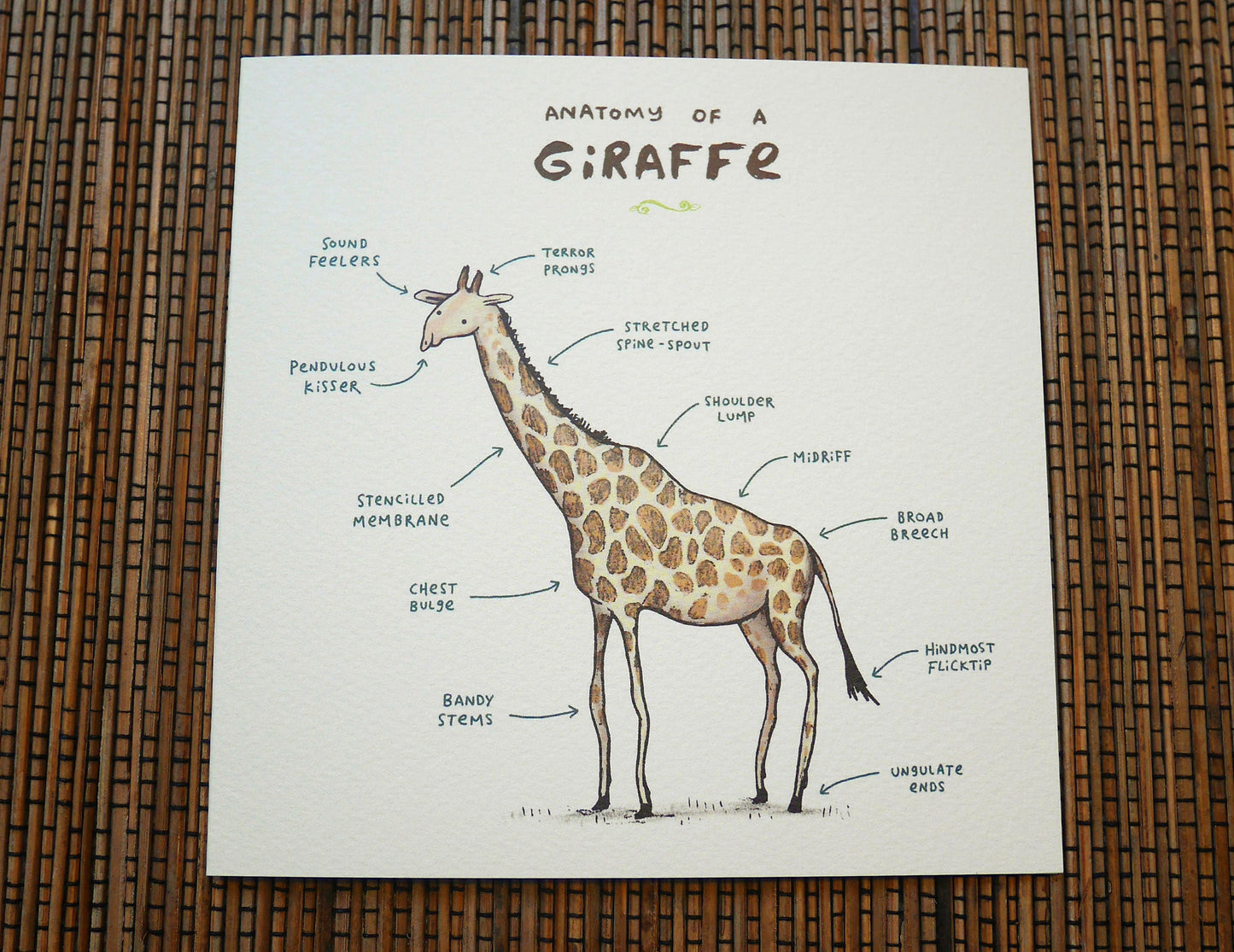 Anatomy Of A Giraffe Card