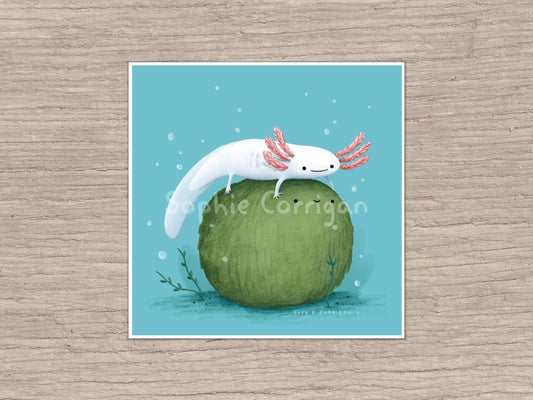 Axolotl on a Mossball Signed Art Print