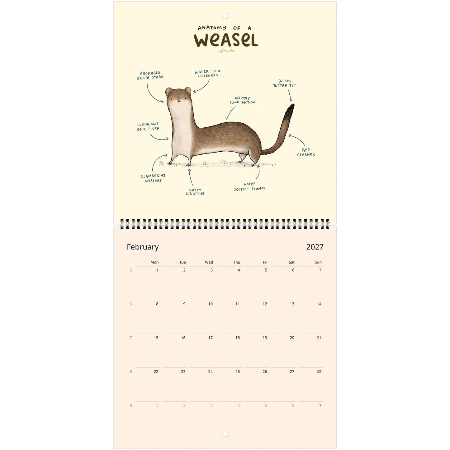 Animal Anatomy 2026 July - 2027 June Cute Creatures 12 Month Wall Calendar