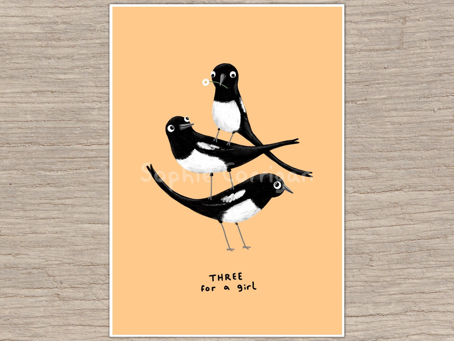 Three For a Girl Magpie Rhyme Signed Fine Art Print - New Baby Nursery Gift