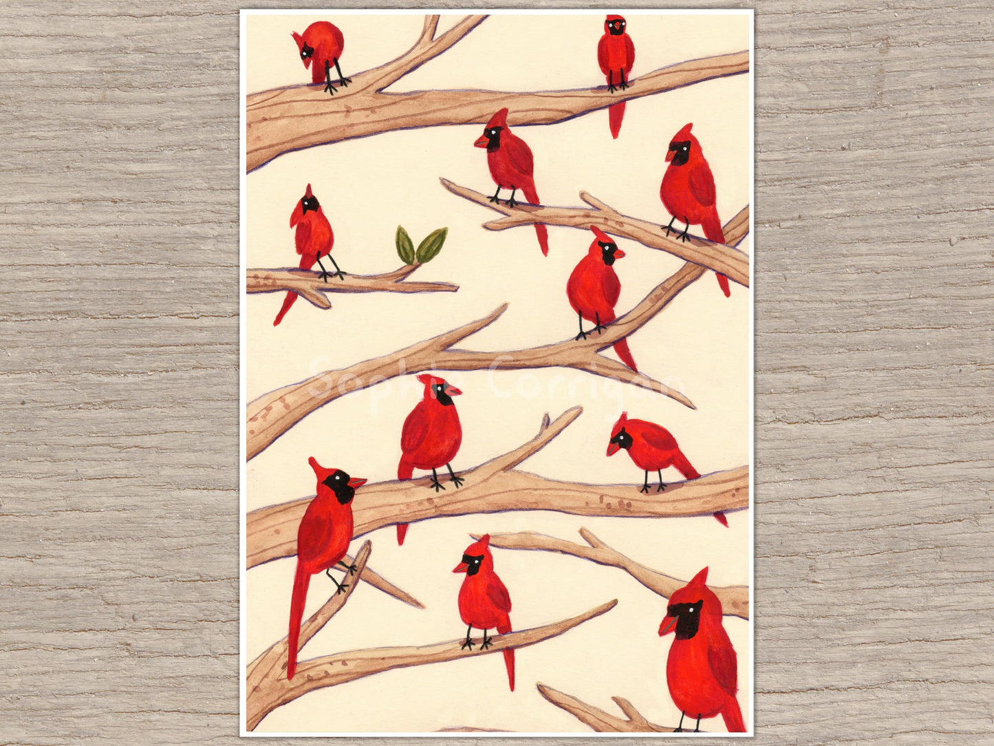 Cardinals Signed Art Print