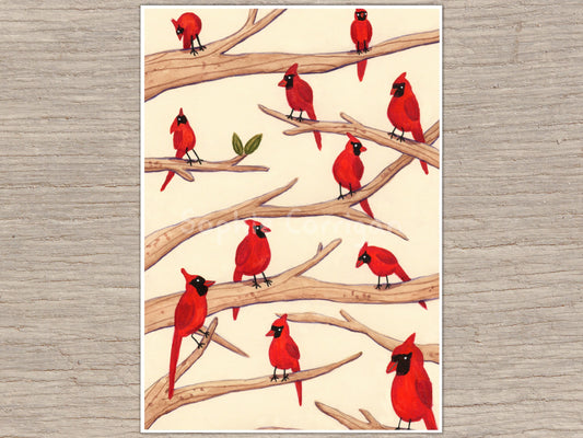 Cardinals Signed Art Print