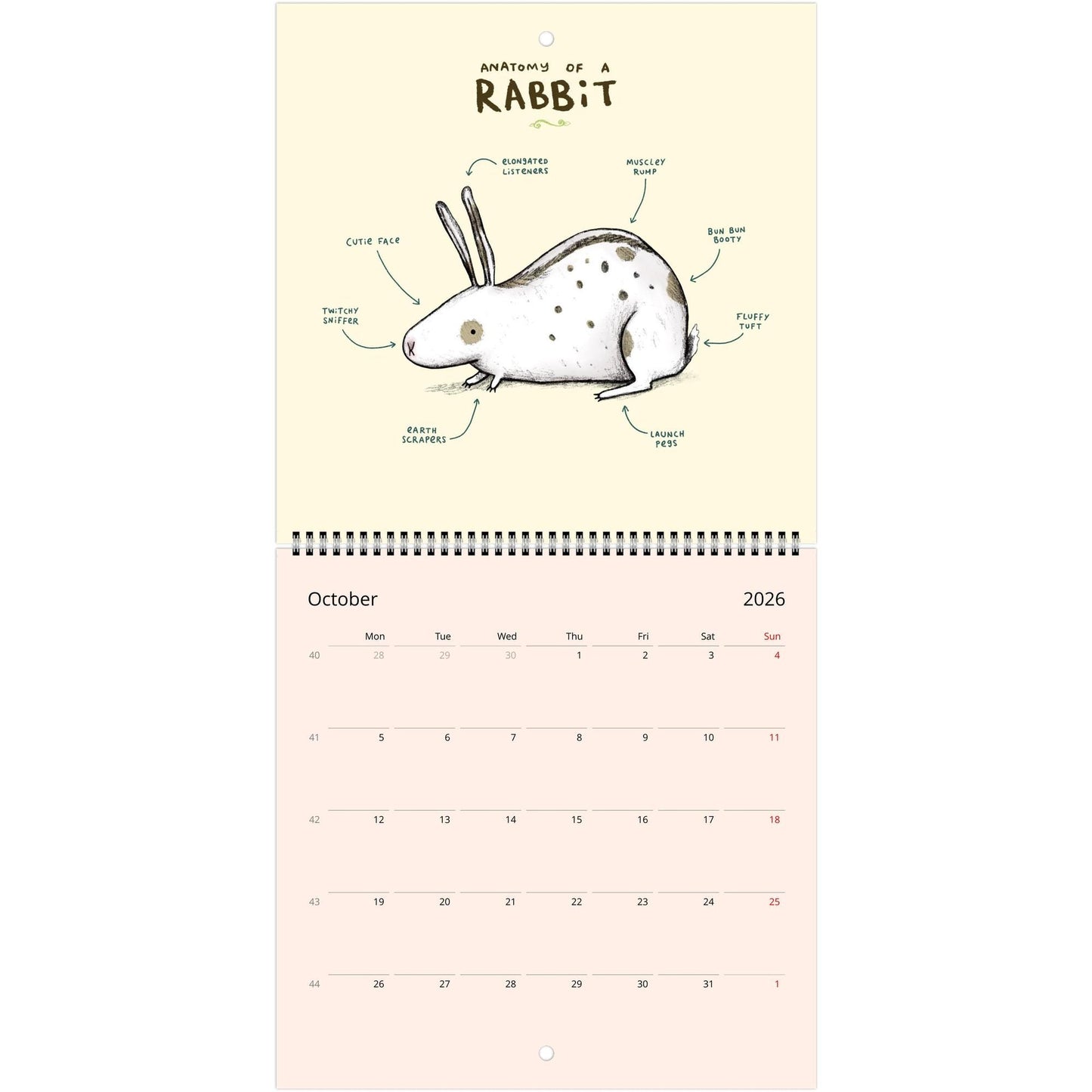 Animal Anatomy 2026 July - 2027 June Cute Creatures 12 Month Wall Calendar