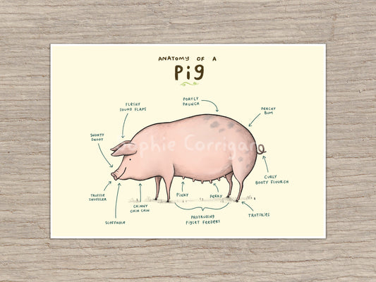 Anatomy of a Pig Signed Art Print