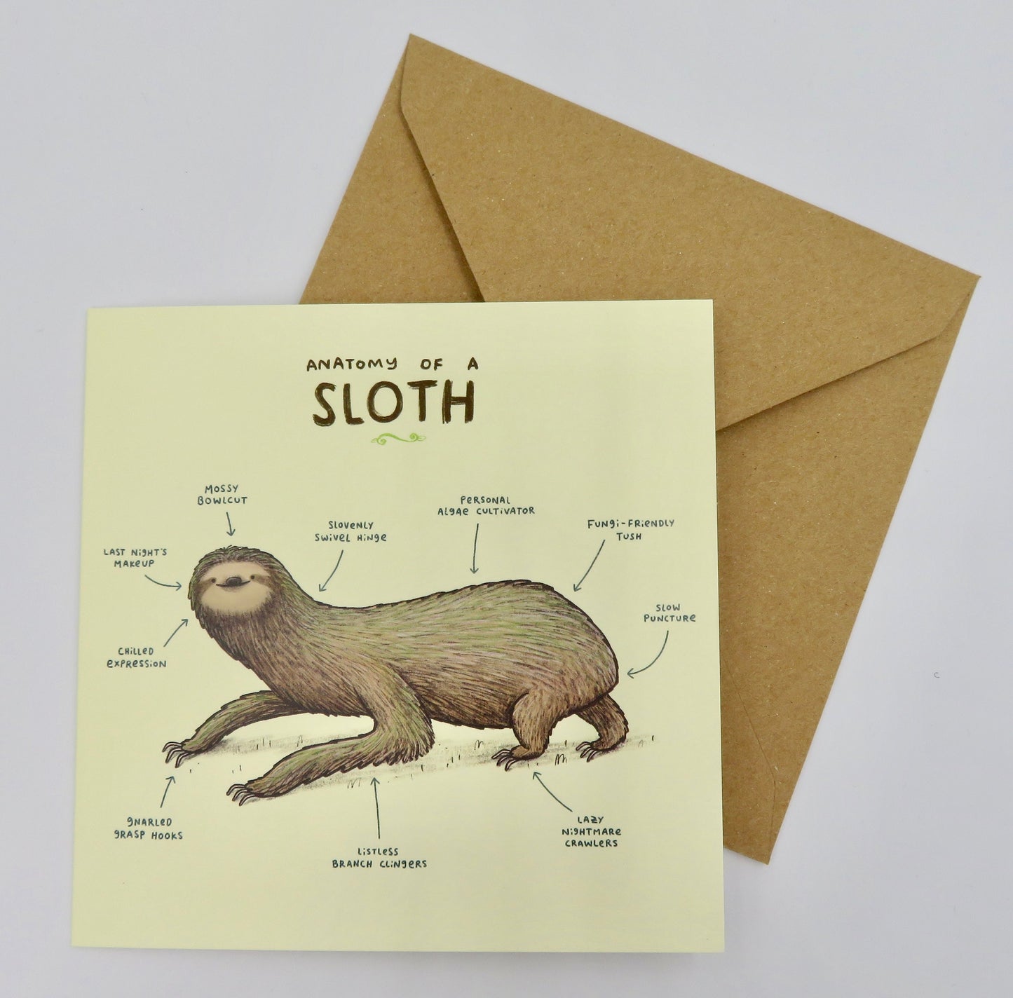 Anatomy of a Sloth Card